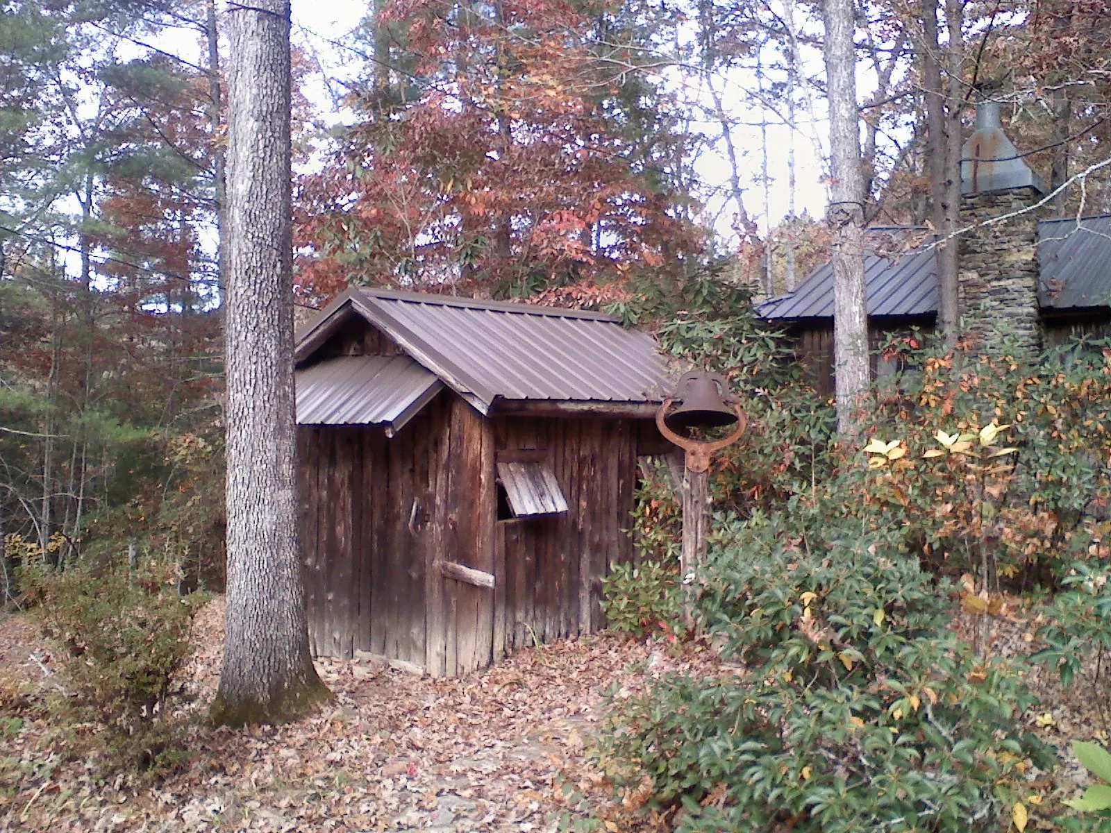Small metal roof on a rough sawn shed in the woods in Verona